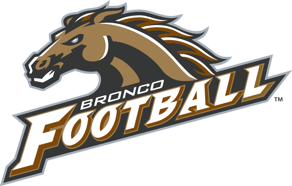 Western Michigan Broncos 1998-Pres Alternate Logo diy iron on heat transfer